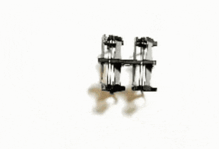 640 (2).gif